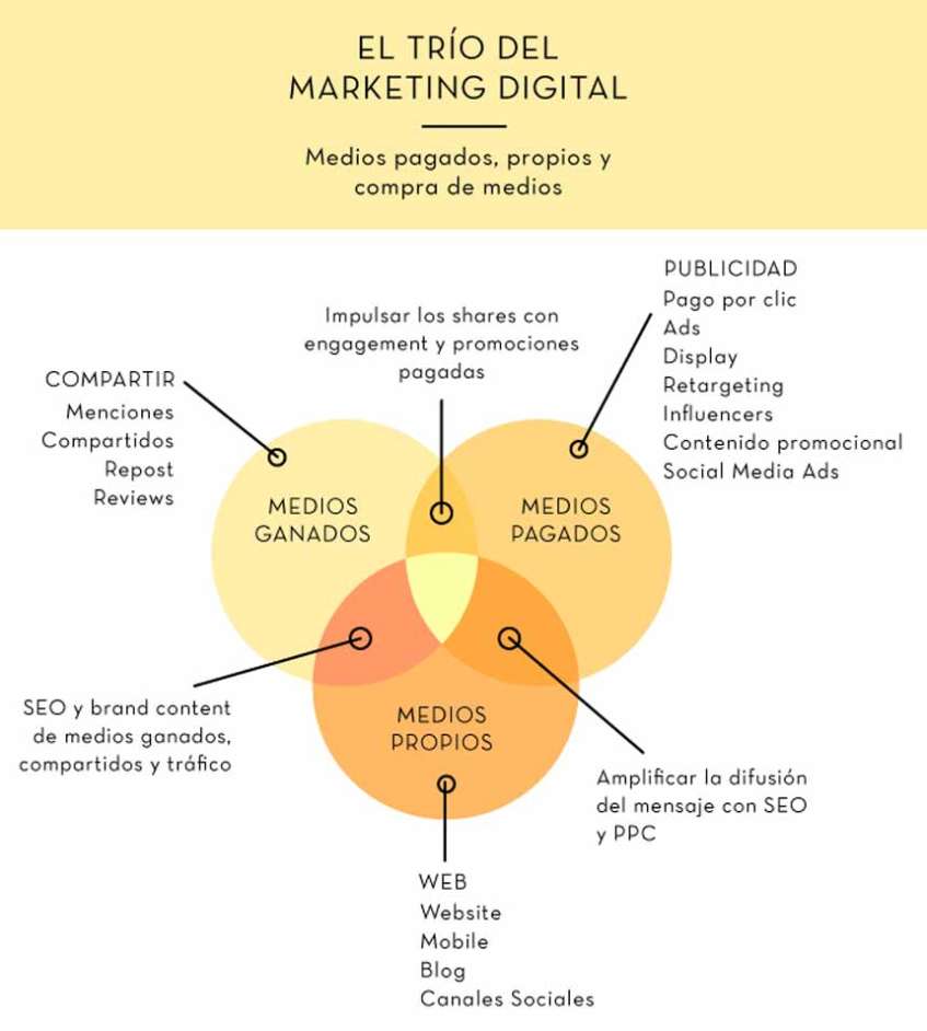 Importancia De Los Medios Digitales Y El Social Media En La Digitalización.